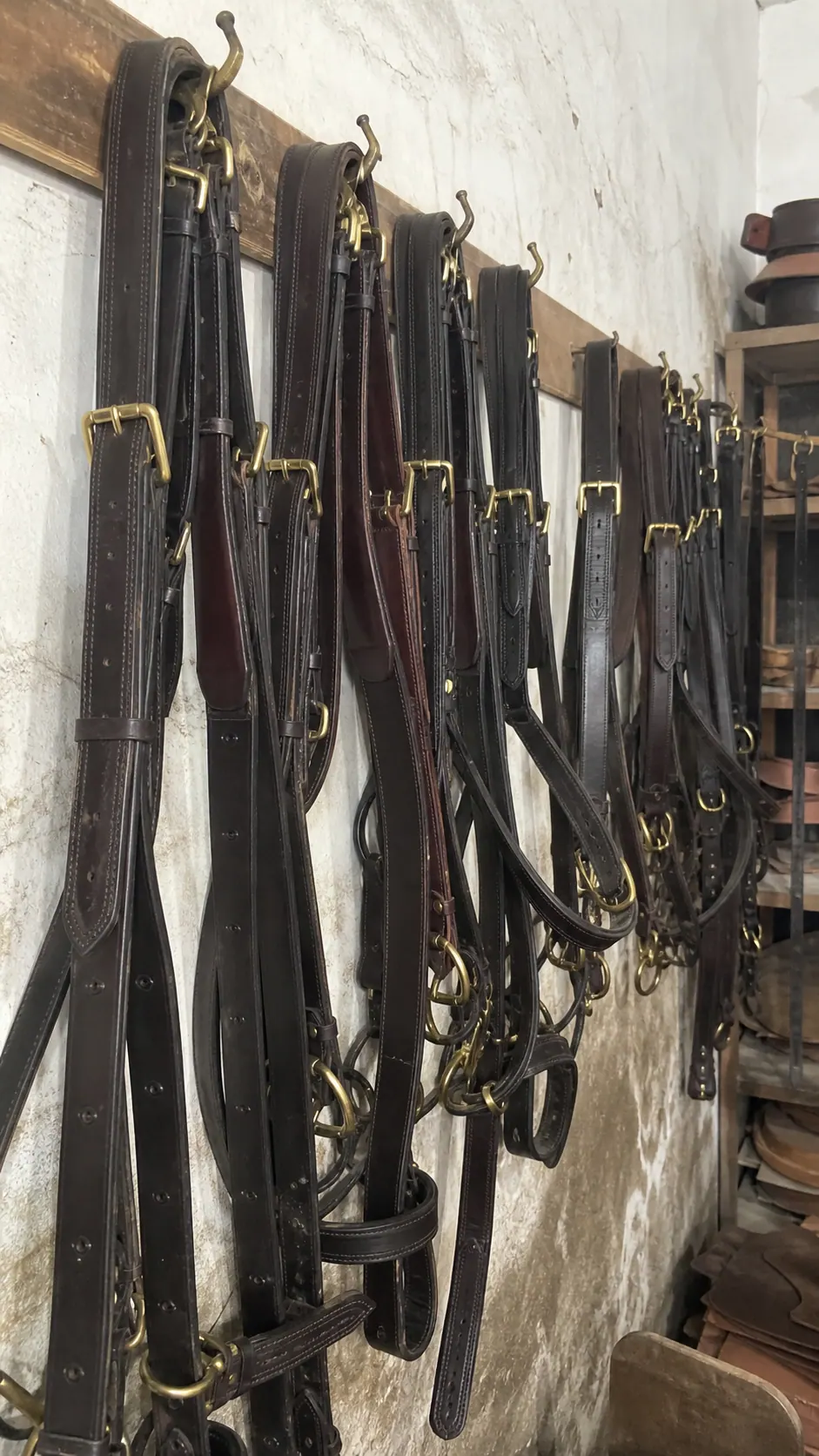 Raw mobile photo of leather bridles and harness sets hanging in workshop