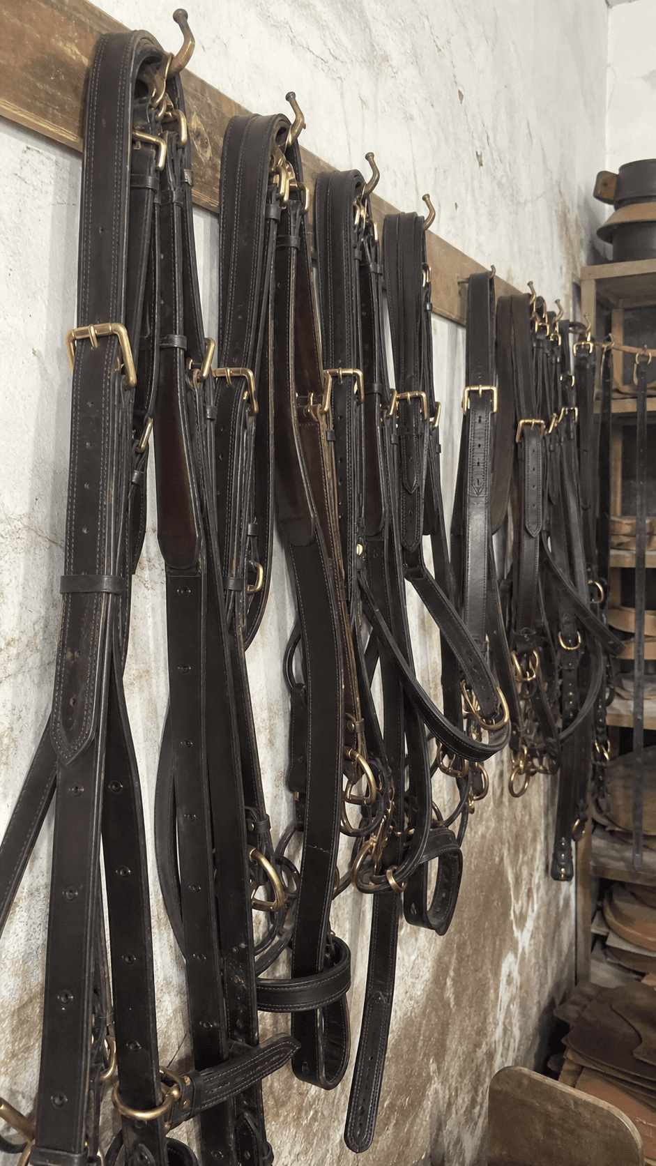 Raw mobile photo of leather bridles and harness sets hanging in workshop